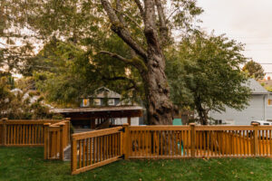 cedar fence around backyard