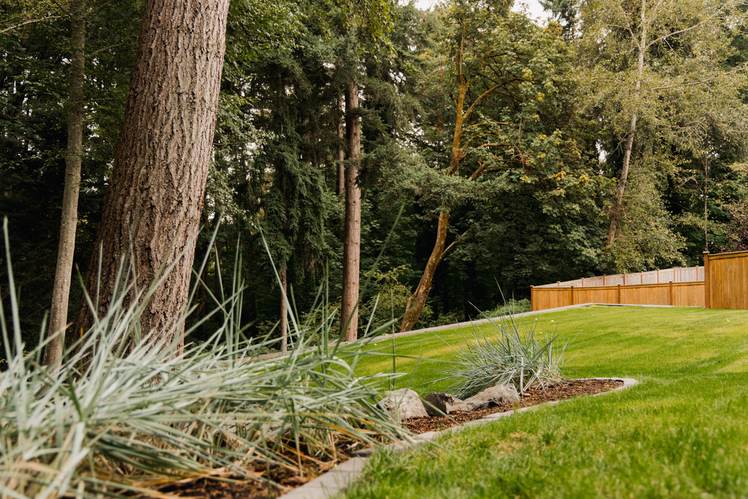 Landscape installation