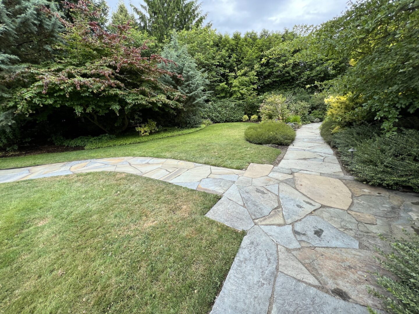 Landscaping Maintenance