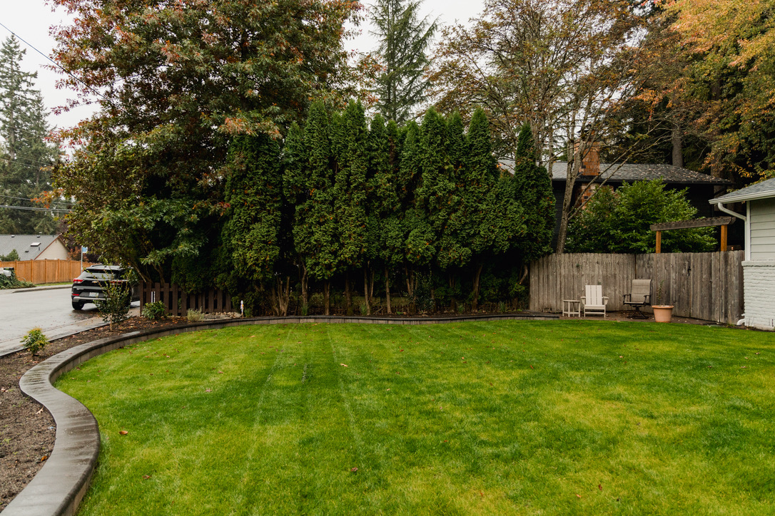 Landscaping in backyard