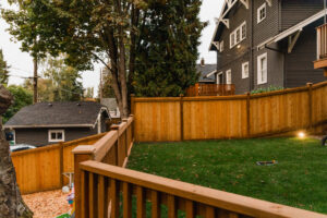cedar fence in backyard