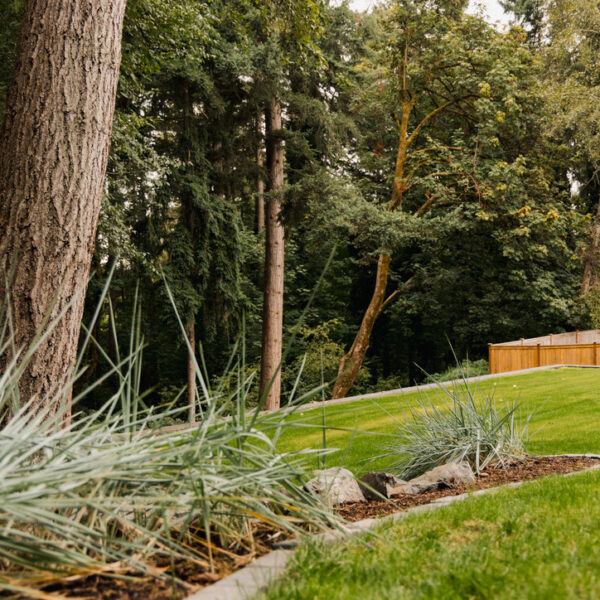 Landscape installation
