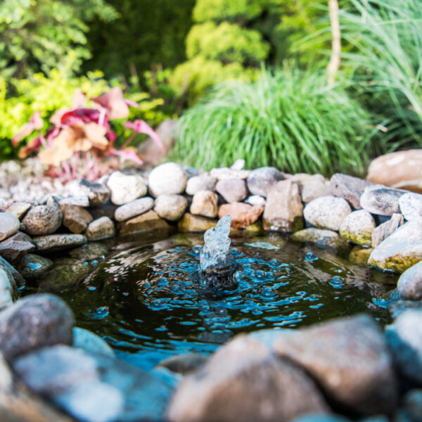 Garden,Place,Little,Pond,With,Small,Fountain.,Gardening,Theme.